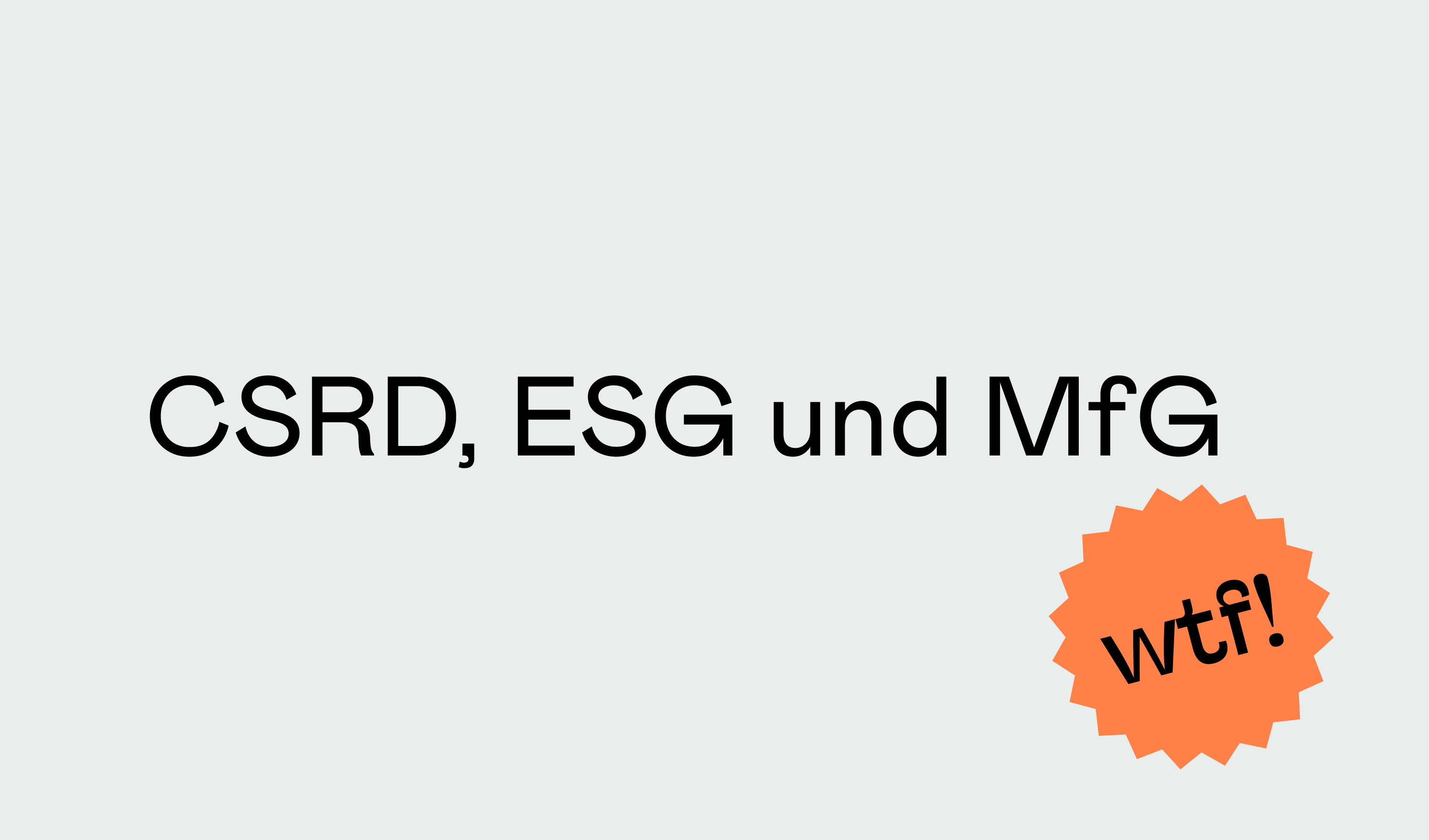 grauer Hintergrund, darauf stehen die Worte "CSRD, ESG und MfG" neben einem orangenen Button mit der Aufschrift "wtf!"